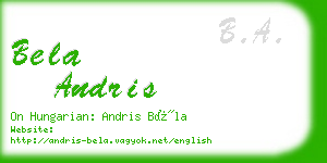 bela andris business card